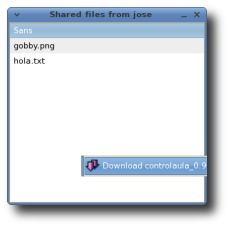Shared files