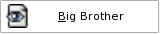 Big Brother